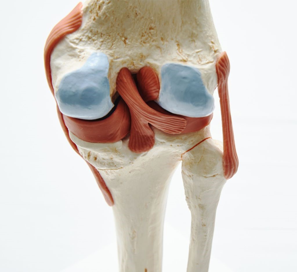 knee_klein_1060x975