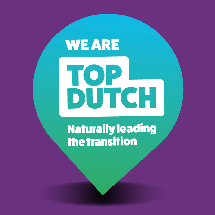 TopDutch Pointer Paars