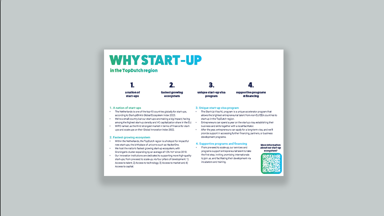 Why Start Up Overview Mockup